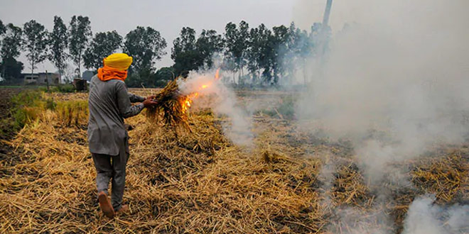 India Fire Data